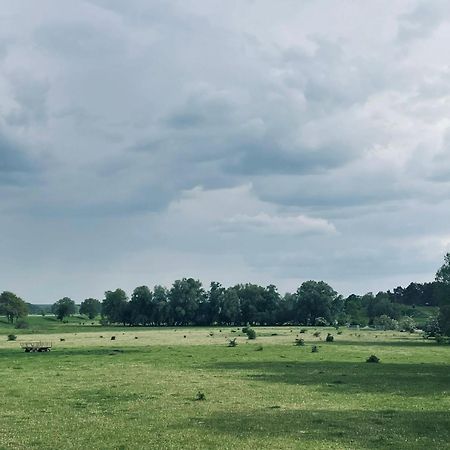 Ferienwohnungen Stolzenhagener 7 Lunow-Stolzenhagen Kültér fotó