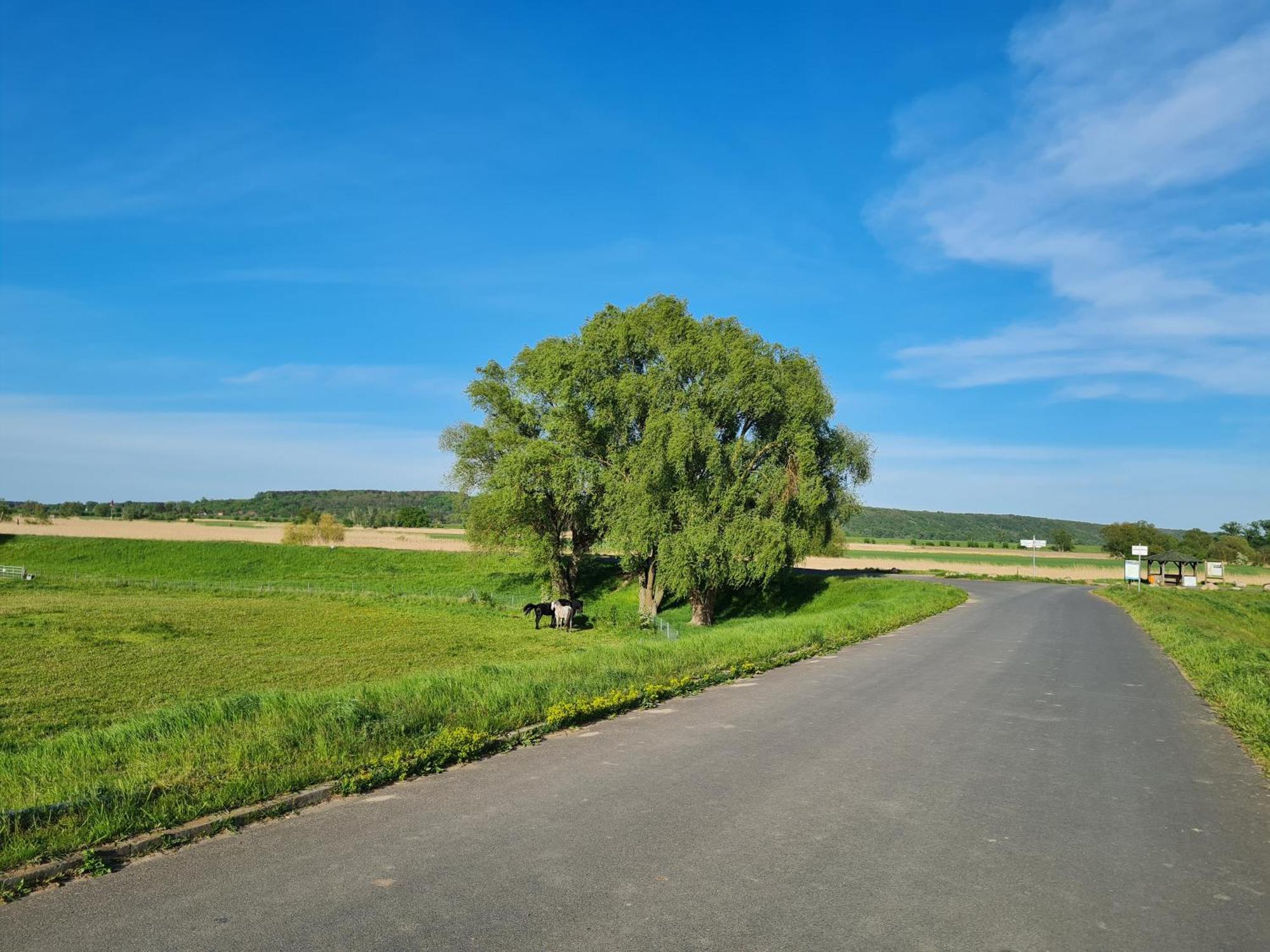 Ferienwohnungen Stolzenhagener 7 Lunow-Stolzenhagen Kültér fotó