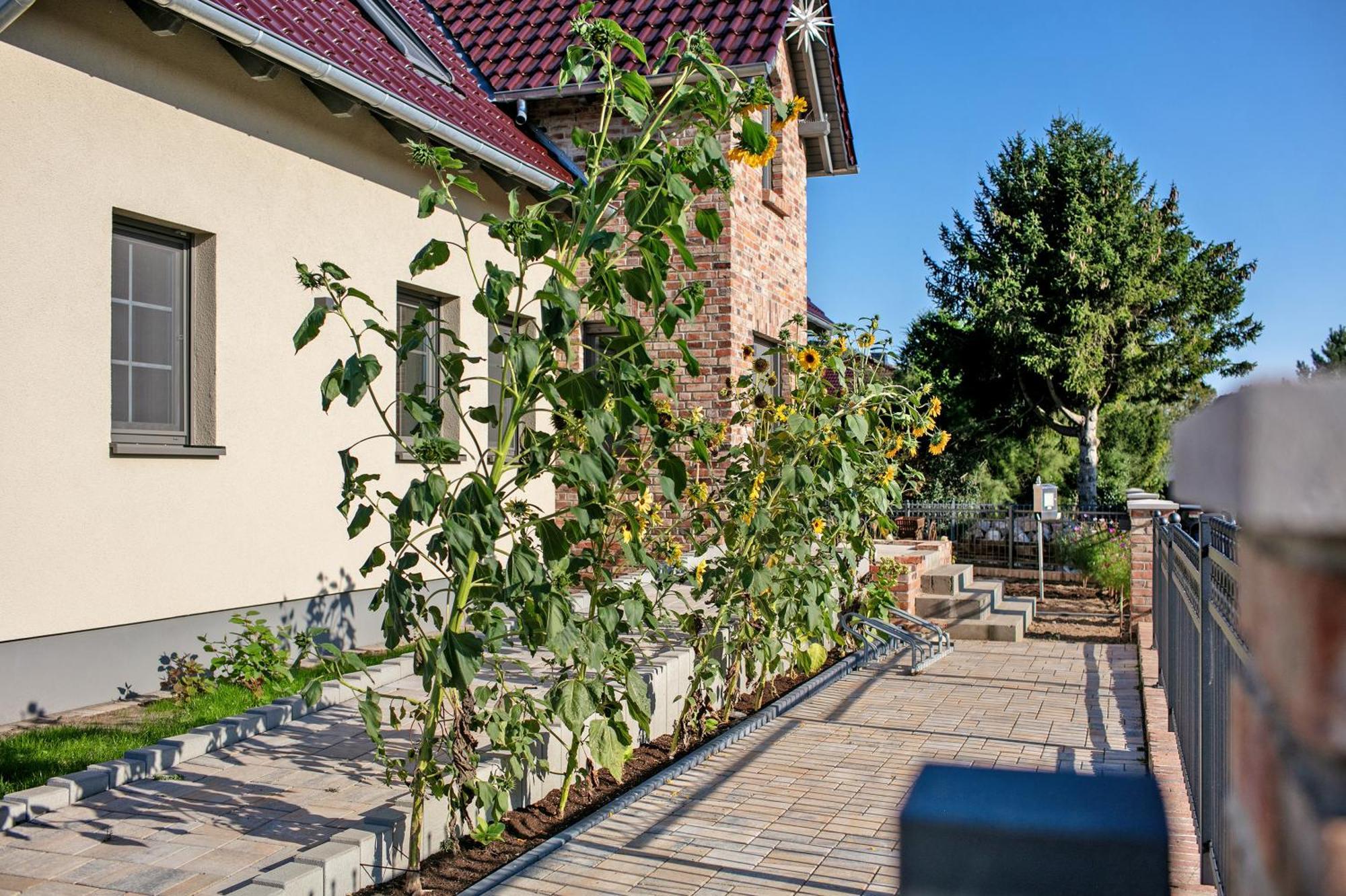 Ferienwohnungen Stolzenhagener 7 Lunow-Stolzenhagen Kültér fotó