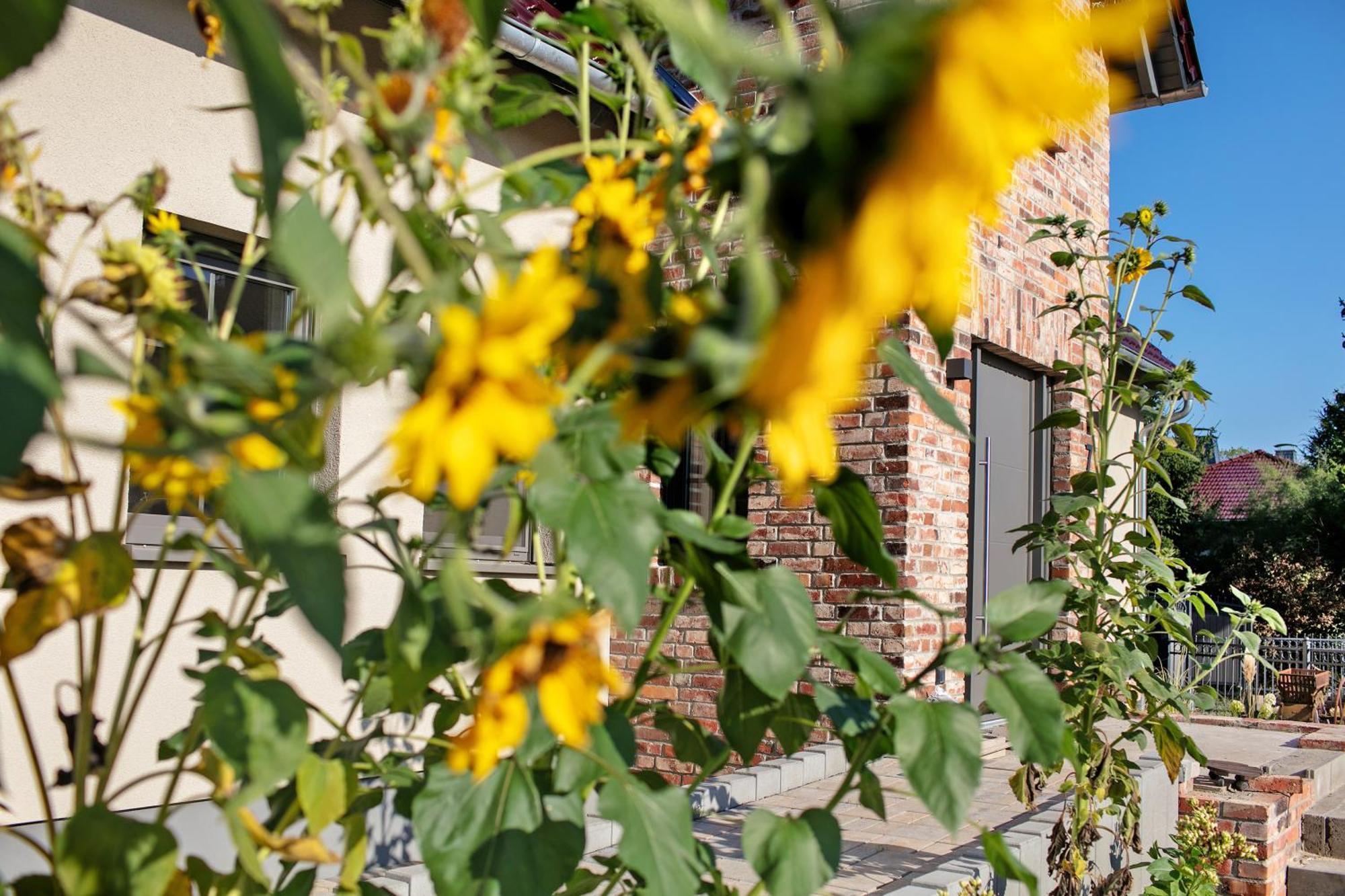 Ferienwohnungen Stolzenhagener 7 Lunow-Stolzenhagen Kültér fotó
